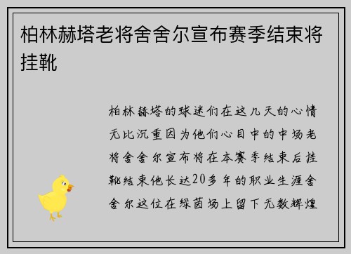 柏林赫塔老将舍舍尔宣布赛季结束将挂靴