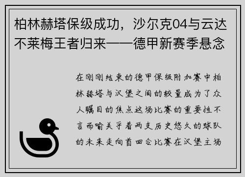 柏林赫塔保级成功，沙尔克04与云达不莱梅王者归来——德甲新赛季悬念丛生